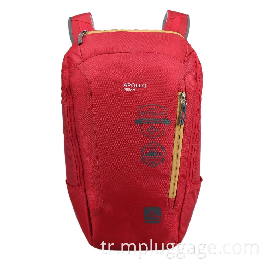 Travel Pack Backpack 